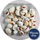 8830-12-P8 - Craft Pack - White Moon Seashells